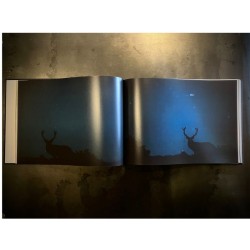 "Owly Night" - Livre photo