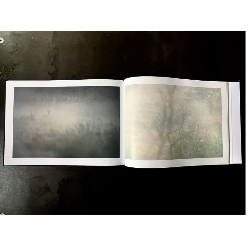 "Owly Night" - Livre photo