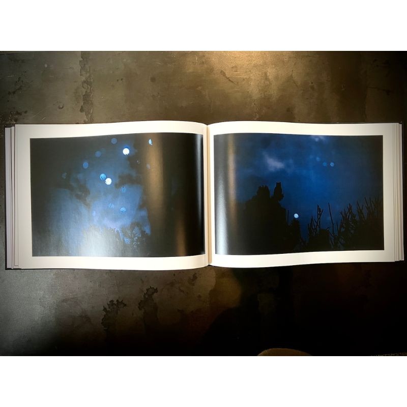 "Owly Night" - Livre photo