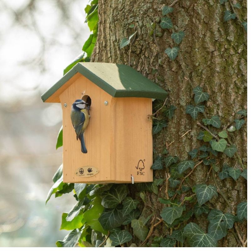 Nichoir Portland 28 mm - Bois