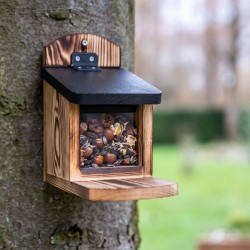 Mangeoire pour écureuils Victoria - Bois