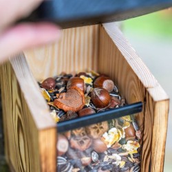 Mangeoire pour écureuils Victoria - Bois