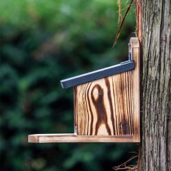 Mangeoire pour écureuils Victoria - Bois
