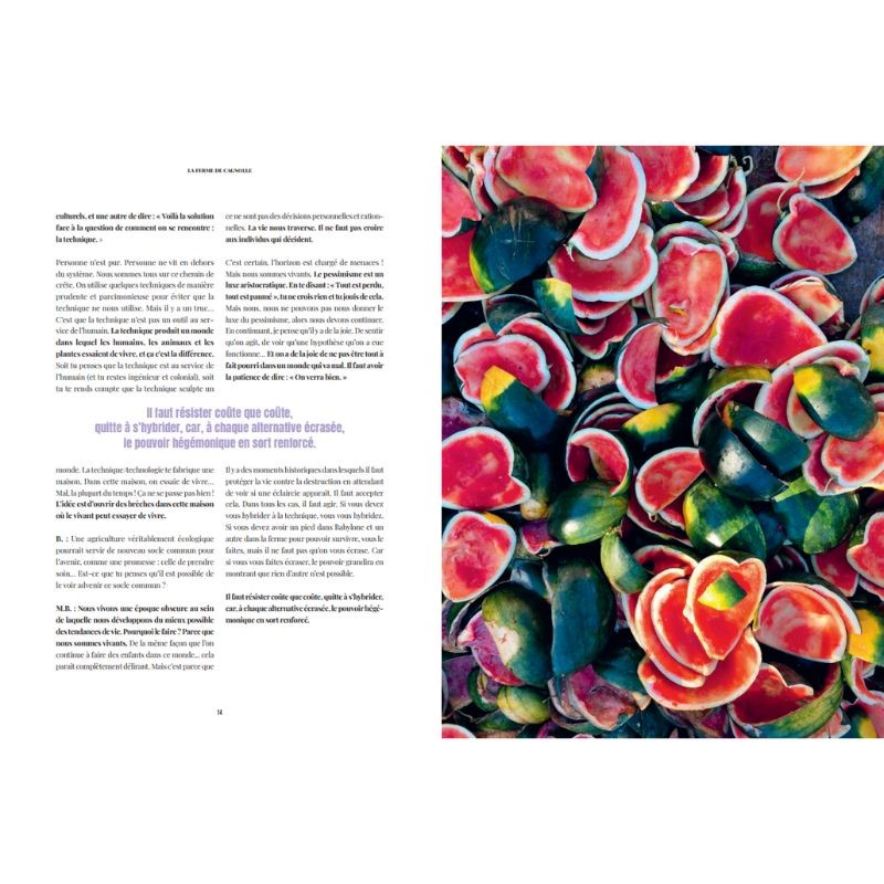 La Ferme de Cagnolle - Agrorecyclerie et maraîchage sur sol vivant