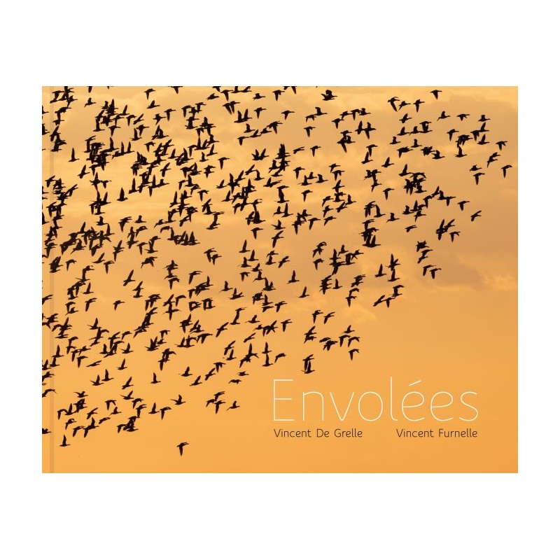 Envolées