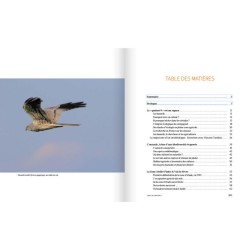 Réconcilier nature et agriculture - Champs de recherche