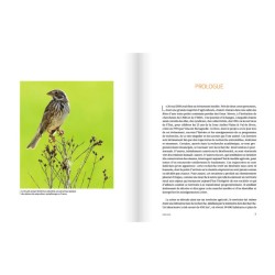 Réconcilier nature et agriculture - Champs de recherche