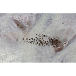 Eaux Douces - Histoires extraordinaires dans nos fleuves, nos rivières et nos lacs