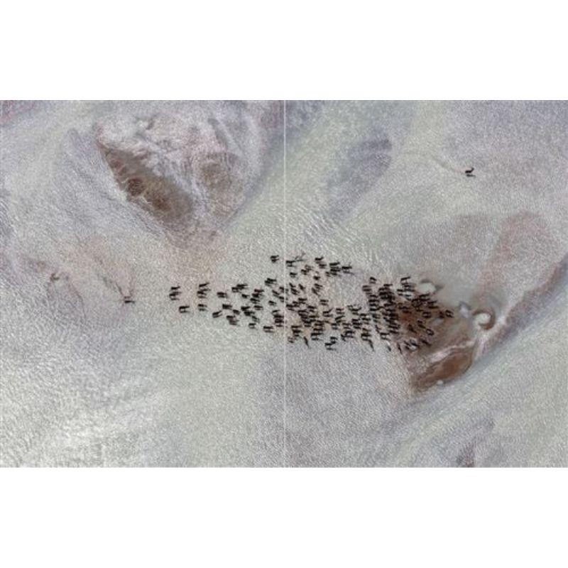 Eaux Douces - Histoires extraordinaires dans nos fleuves, nos rivières et nos lacs