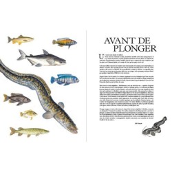 Eaux Douces - Histoires extraordinaires dans nos fleuves, nos rivières et nos lacs