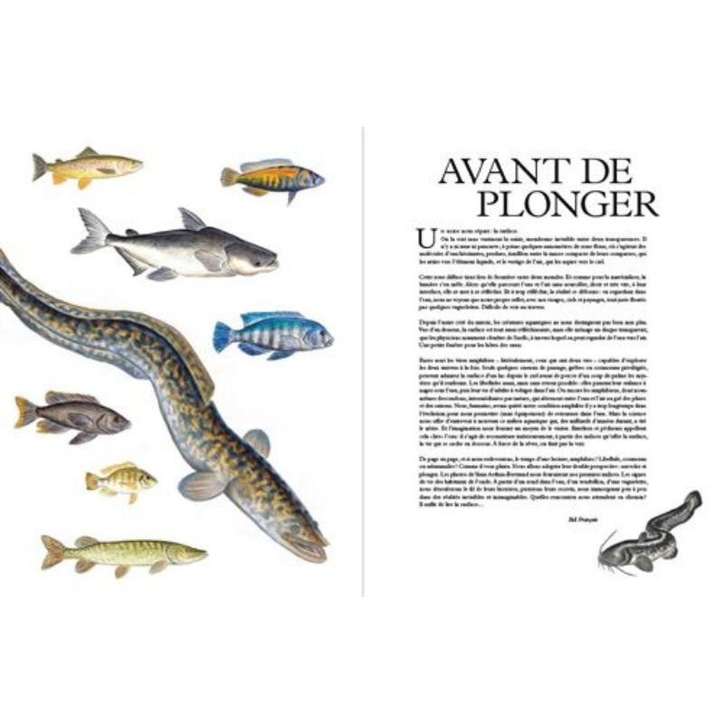 Eaux Douces - Histoires extraordinaires dans nos fleuves, nos rivières et nos lacs