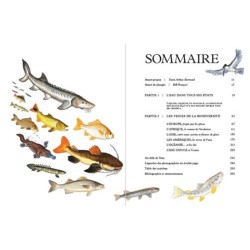 Eaux Douces - Histoires extraordinaires dans nos fleuves, nos rivières et nos lacs