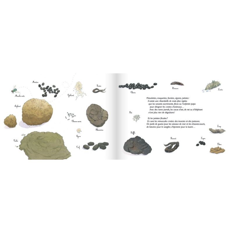 Crottes de bêtes ! les excréments des animaux