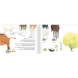 Crottes de bêtes ! les excréments des animaux