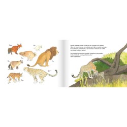 Crottes de bêtes ! les excréments des animaux