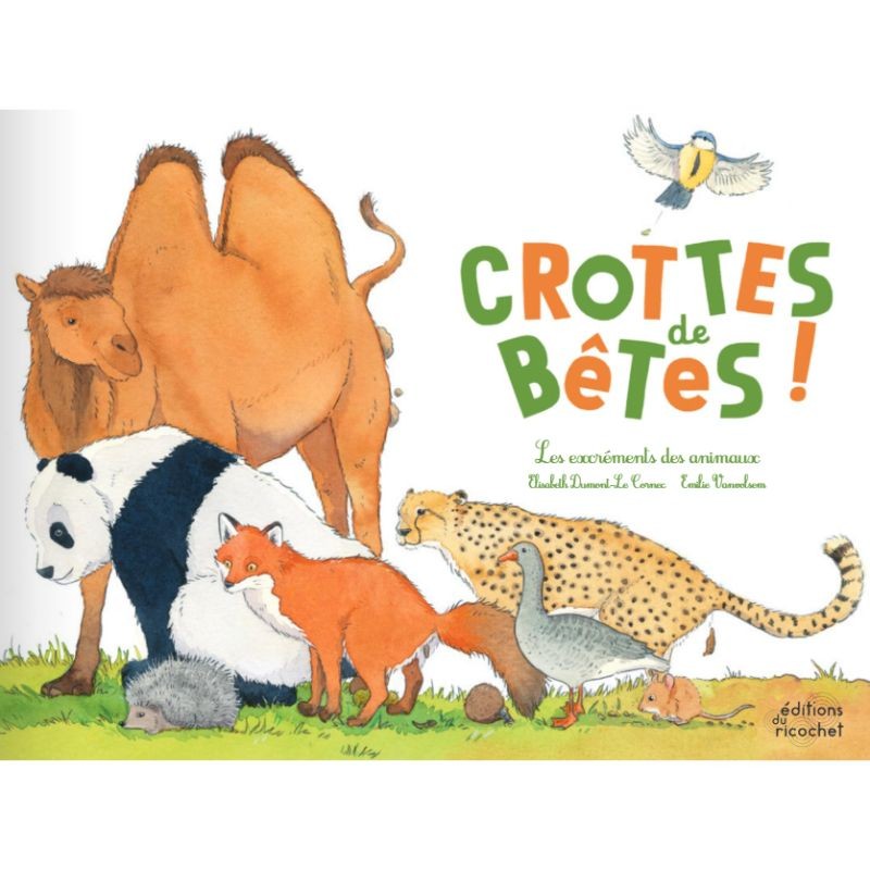 Crottes de bêtes ! les excréments des animaux
