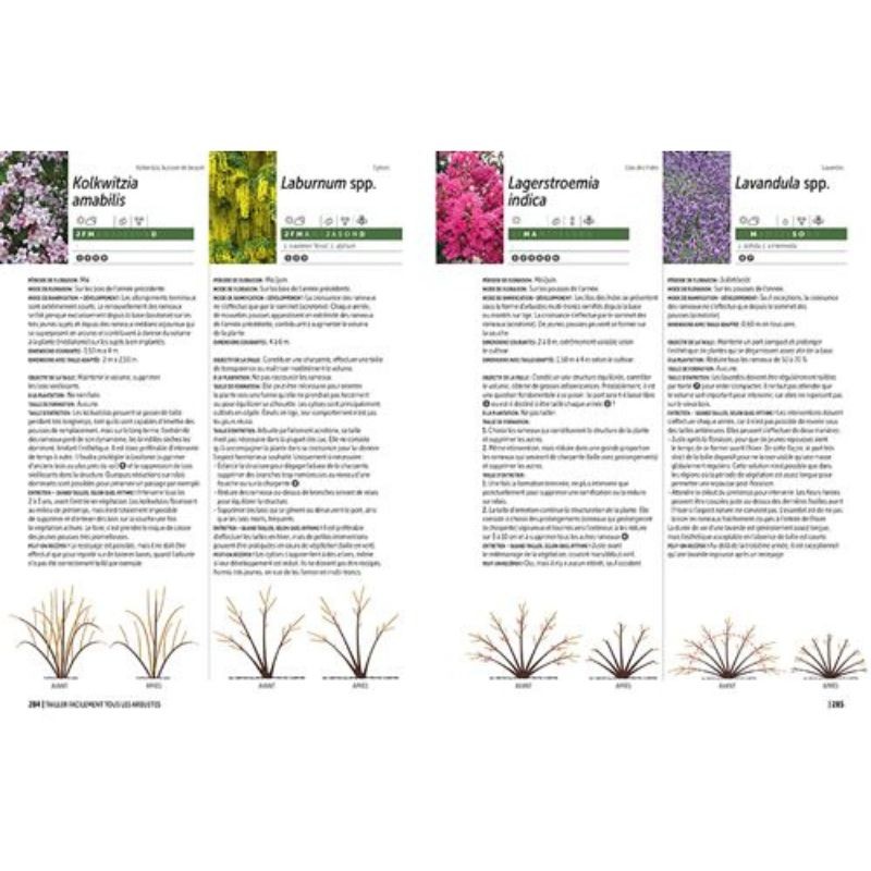 Tailler ses arbres  L’encyclopédie prieur - La taille raisonnée des arbusteset arbustes fruitiers