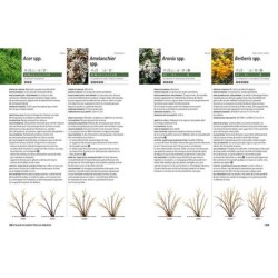 Tailler ses arbres  L’encyclopédie prieur - La taille raisonnée des arbusteset arbustes fruitiers