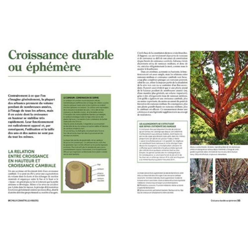 Tailler ses arbres  L’encyclopédie prieur - La taille raisonnée des arbusteset arbustes fruitiers