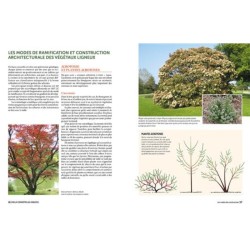 Tailler ses arbres  L’encyclopédie prieur - La taille raisonnée des arbusteset arbustes fruitiers