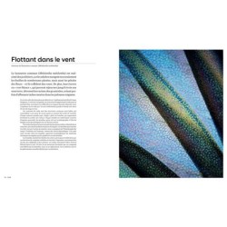 Les formes de la nature - Ce que la géométrie du vivant nous révèle