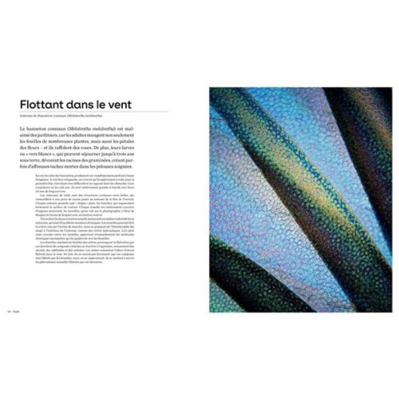 Les formes de la nature - Ce que la géométrie du vivant nous révèle