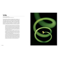 Les formes de la nature - Ce que la géométrie du vivant nous révèle