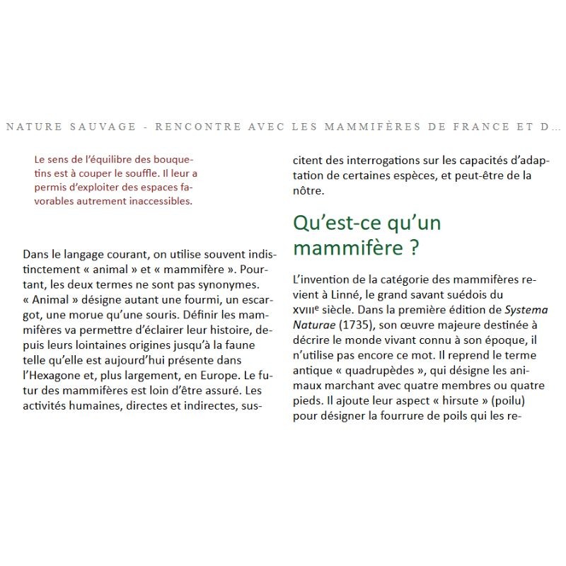 Nature sauvage - Rencontre avec les mammifères de France et d'Europe