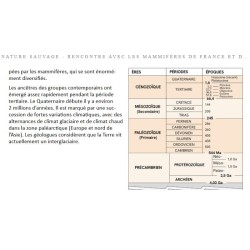 Nature sauvage - Rencontre avec les mammifères de France et d'Europe