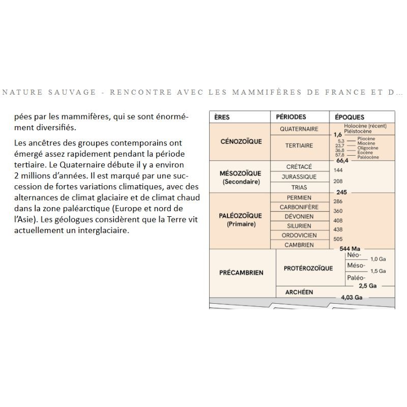 Nature sauvage - Rencontre avec les mammifères de France et d'Europe