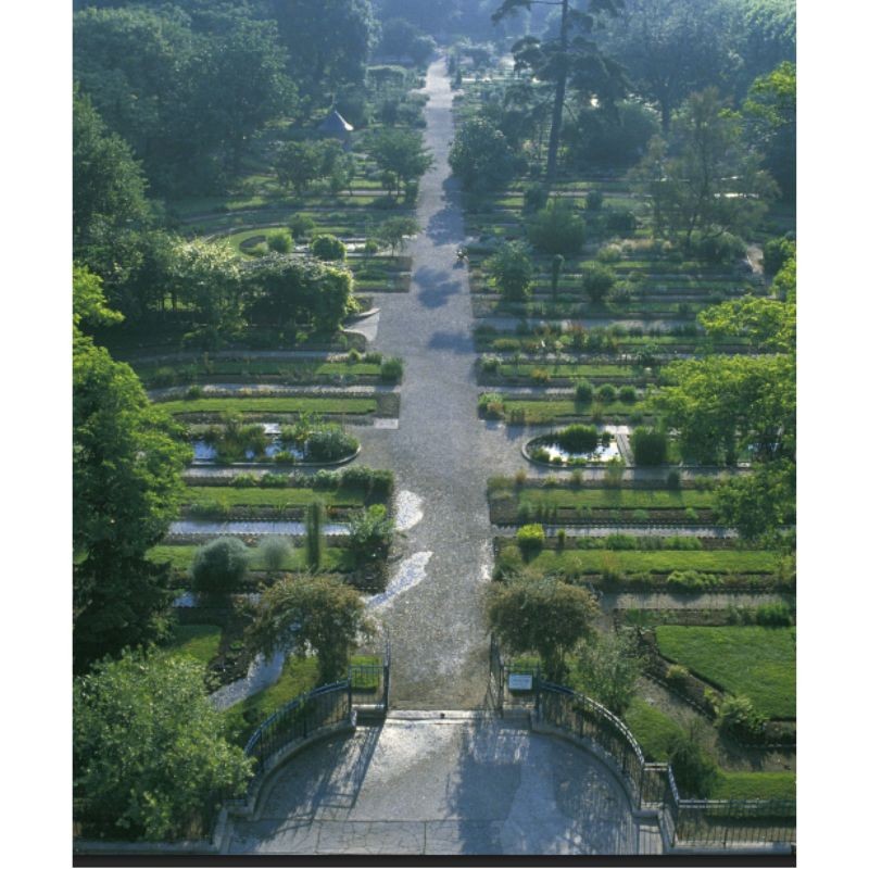 Une histoire des jardins botaniques - Entre science et art paysager