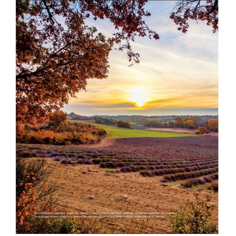 Paysages de campagne - Aux racines des terroirs