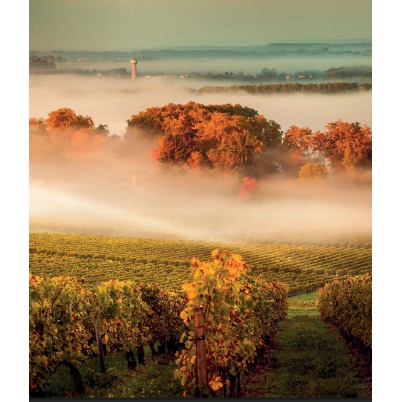 Paysages de campagne - Aux racines des terroirs