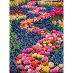 Toutes les couleurs de la nature