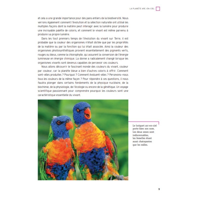 Toutes les couleurs de la nature