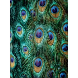 Toutes les couleurs de la nature