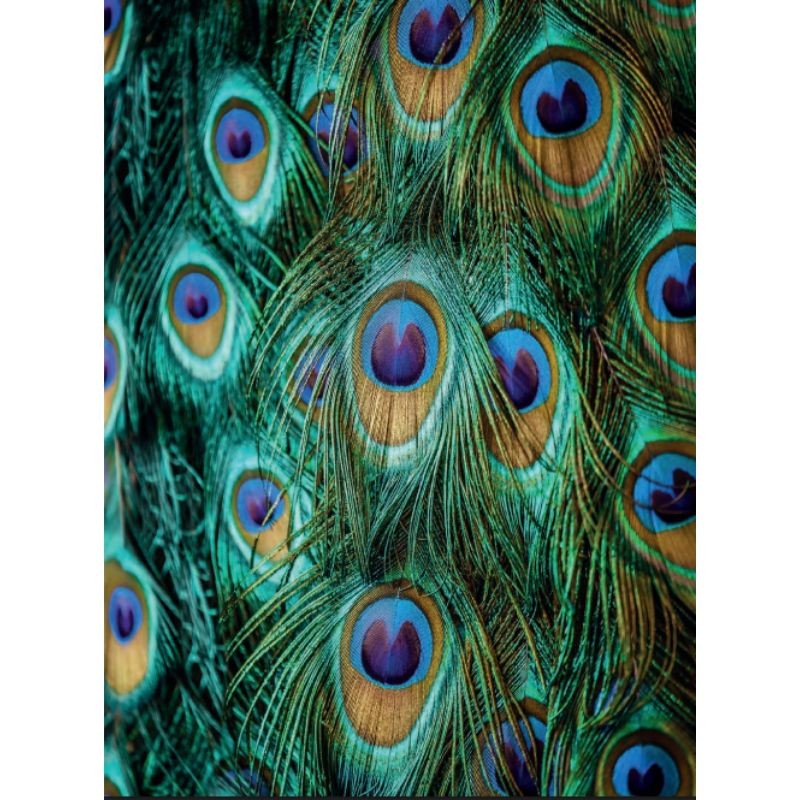 Toutes les couleurs de la nature