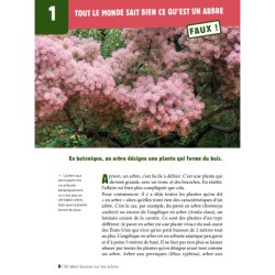 50 idées fausses sur les arbres