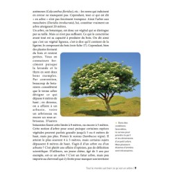 50 idées fausses sur les arbres
