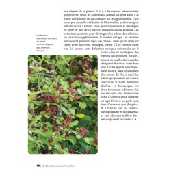 50 idées fausses sur les arbres