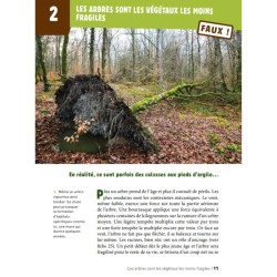 50 idées fausses sur les arbres