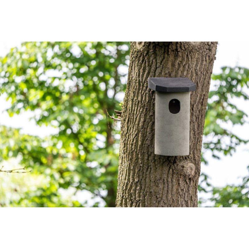 Nichoir pour Chouette hulotte et Choucas des Tours NK KA 01 - Béton de bois