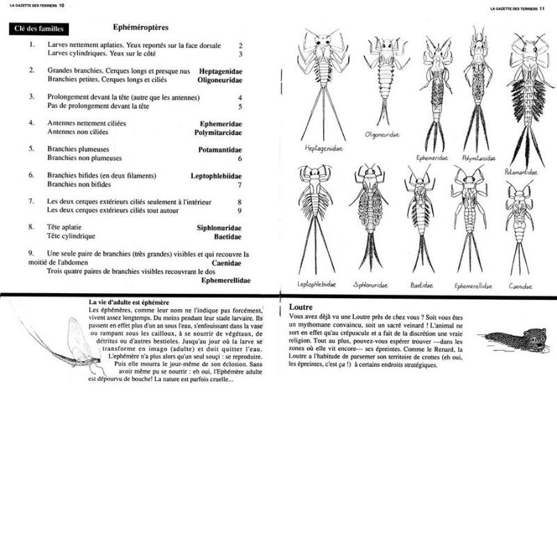 Réalisez l'indice biologique de votre rivière - Donnez une note à votre cours d'eau !