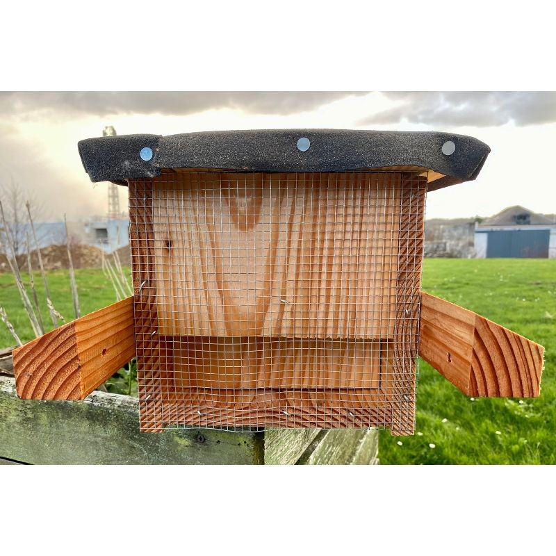 Nichoir pour Chouette chevêche d'Athéna - Modèle "Tout en bois" - LivinWood