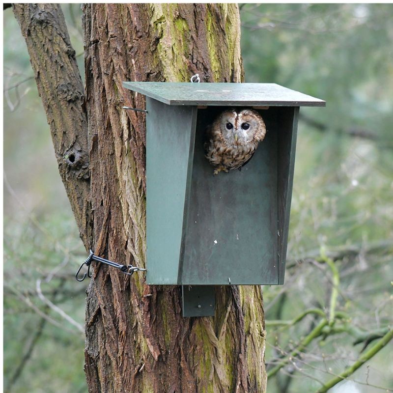 Nichoir pour Chouette hulotte UK BO 01 - Bois