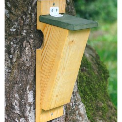 Nichoir pour Grimpereau des jardins NK BK 01- Bois