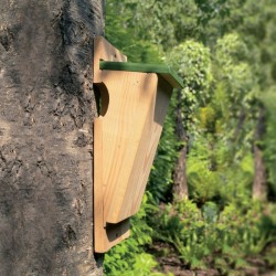 Nichoir pour Grimpereau des jardins NK BK 01- Bois
