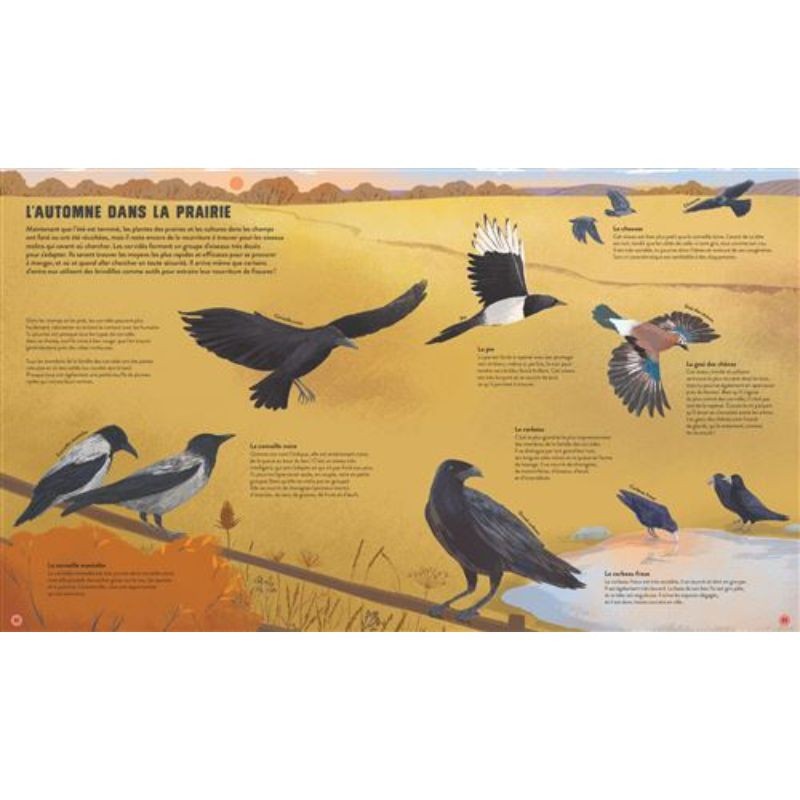 Quatre saisons en pleine nature