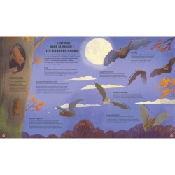 Quatre saisons en pleine nature