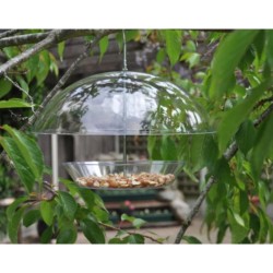 Mangeoire à oiseaux transparente en forme de parapluie
